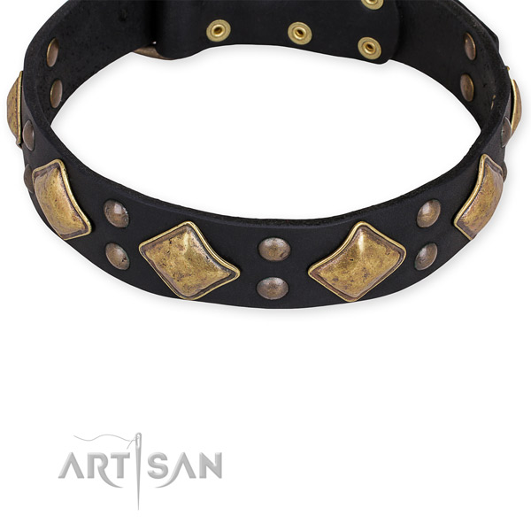 Natural genuine leather dog collar with significant reliable embellishments