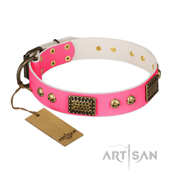 Easy to adjust full grain leather dog collar for daily walking your dog