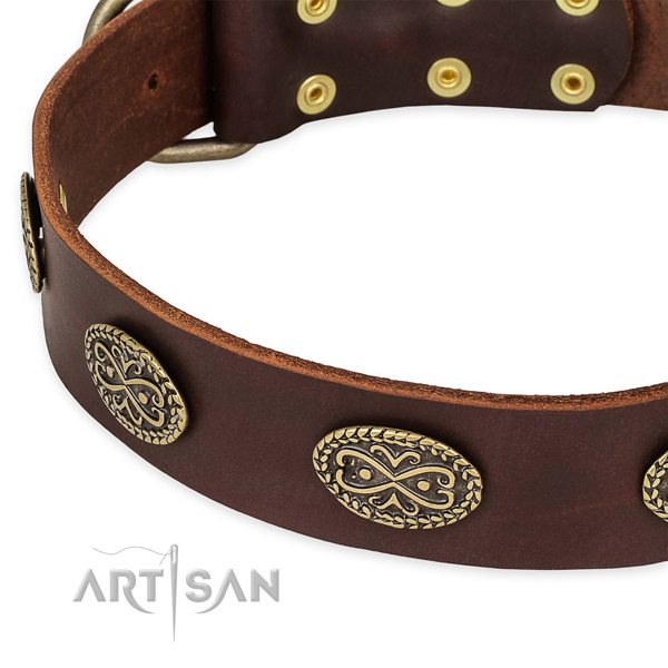 Designer full grain genuine leather collar for your attractive four-legged friend