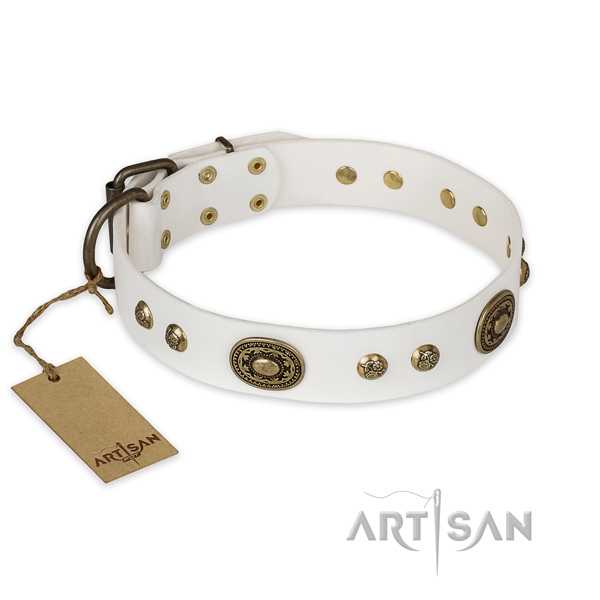 Comfortable full grain natural leather dog collar for daily walking