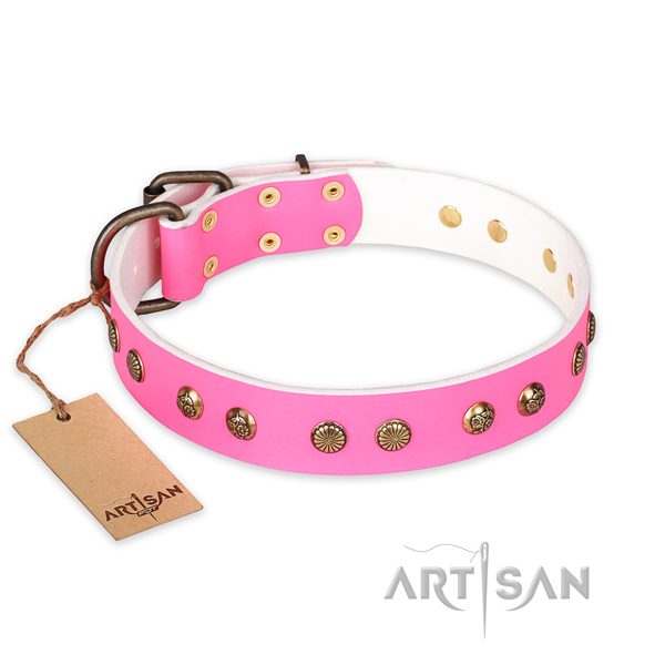 Stylish full grain leather dog collar with corrosion proof hardware