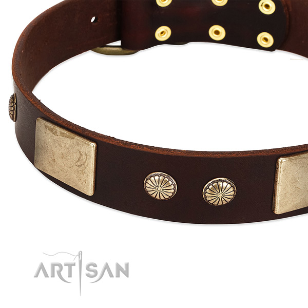 Corrosion proof decorations on genuine leather dog collar for your four-legged friend