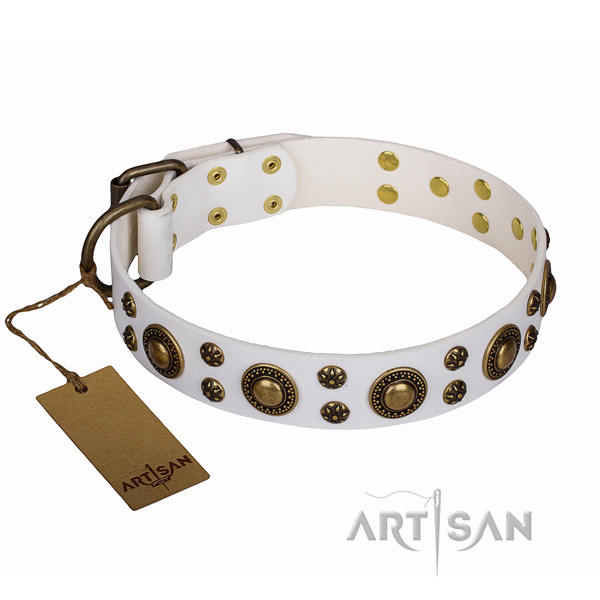 Comfy wearing dog collar of finest quality full grain leather with studs