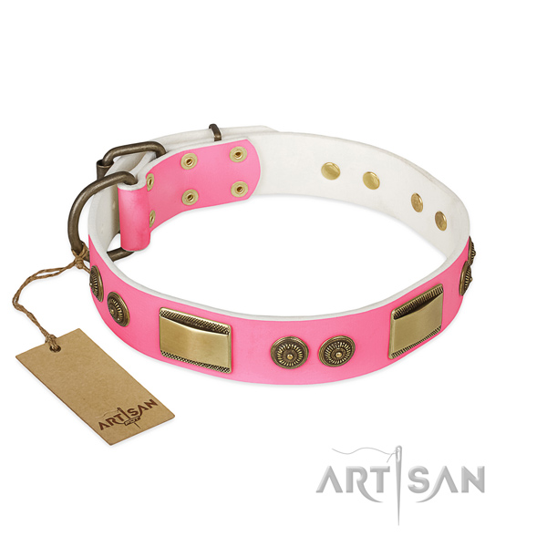 Significant full grain leather dog collar for daily walking