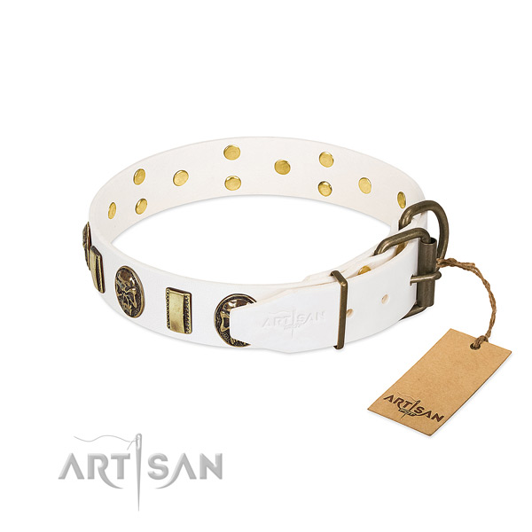 Rust-proof D-ring on full grain leather collar for everyday walking your dog