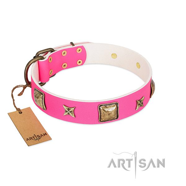 Full grain leather dog collar of top rate material with remarkable studs