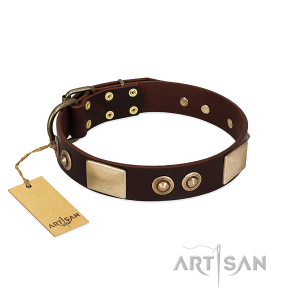 Easy adjustable full grain leather dog collar for daily walking your dog