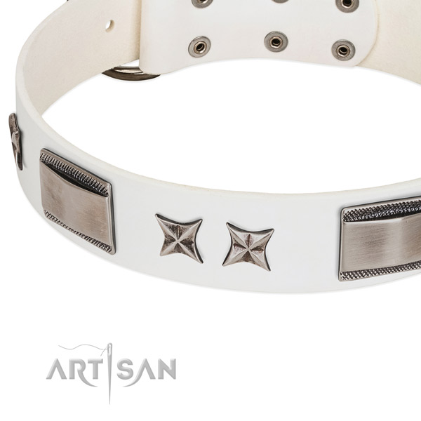 Gentle to touch full grain genuine leather dog collar with reliable buckle