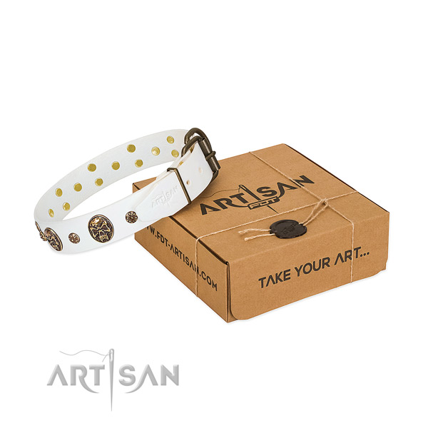 Top quality leather collar for your attractive pet