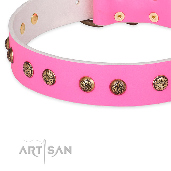 Full grain leather collar with reliable traditional buckle for your stylish four-legged friend