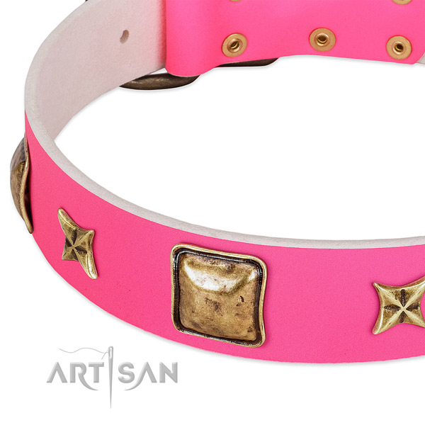 Full grain natural leather dog collar with exceptional embellishments
