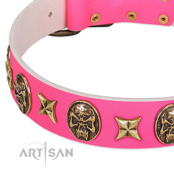 Full grain leather dog collar with extraordinary adornments