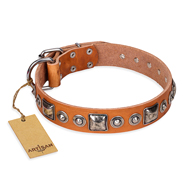 "Era of Future" FDT Artisan Handcrafted Tan Leather Swiss Mountain Dog Collar with Decorations