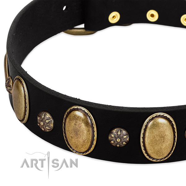 Daily walking high quality leather dog collar
