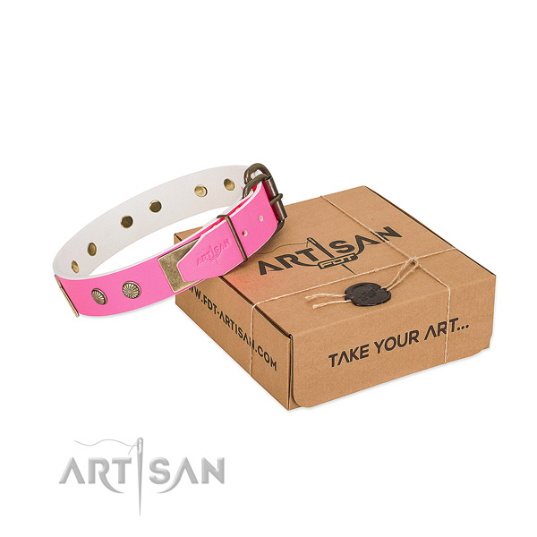 Durable adornments on dog collar for daily use