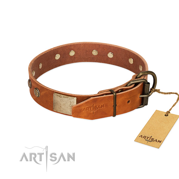 Strong fittings on everyday use dog collar