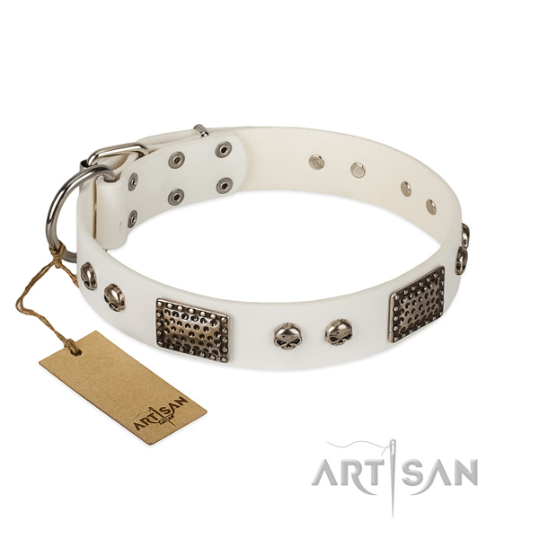 Easy adjustable genuine leather dog collar for stylish walking your dog