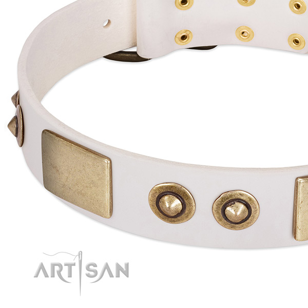 Corrosion proof hardware on leather dog collar for your pet
