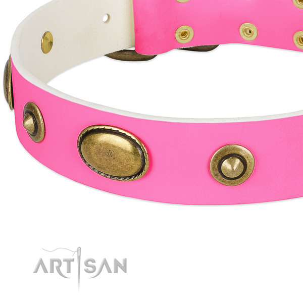 Rust resistant decorations on leather dog collar for your four-legged friend