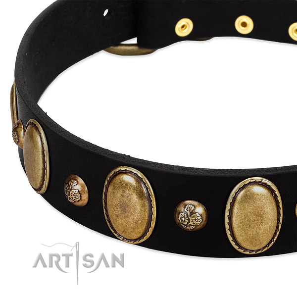 Full grain leather dog collar with trendy adornments