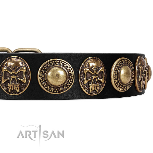 Rust resistant adornments on genuine leather dog collar for your dog