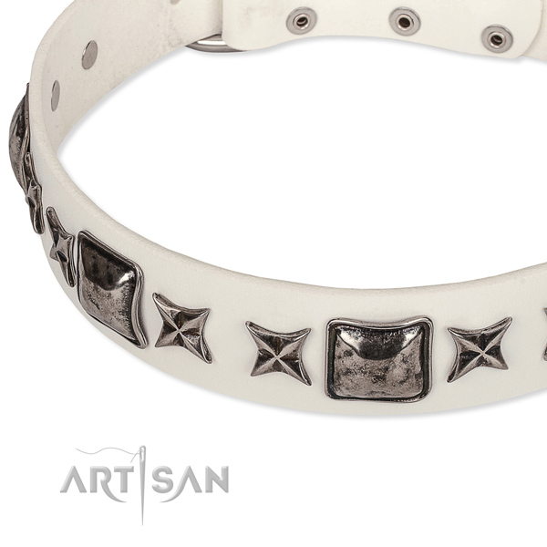 Daily use adorned dog collar of top quality full grain leather