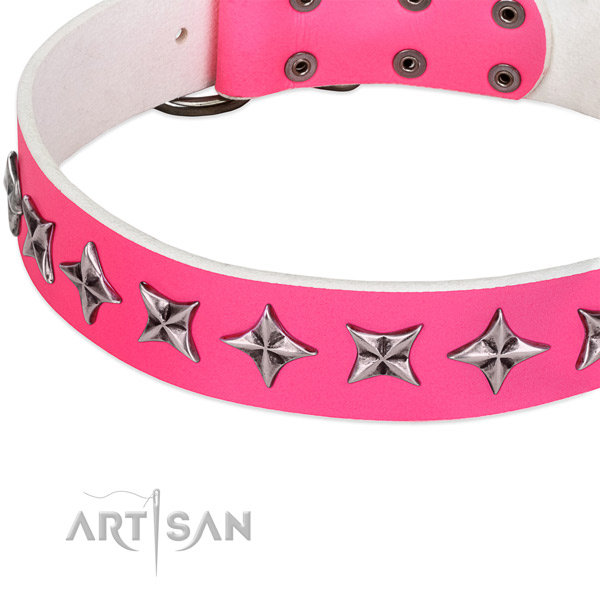 Stylish walking embellished dog collar of reliable full grain leather