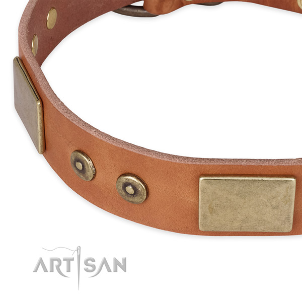 Durable studs on natural genuine leather dog collar for your doggie