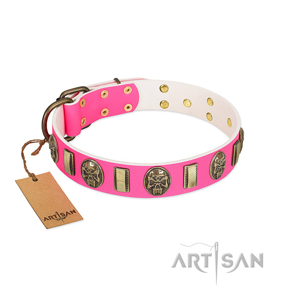 Corrosion resistant adornments on full grain natural leather dog collar for your canine
