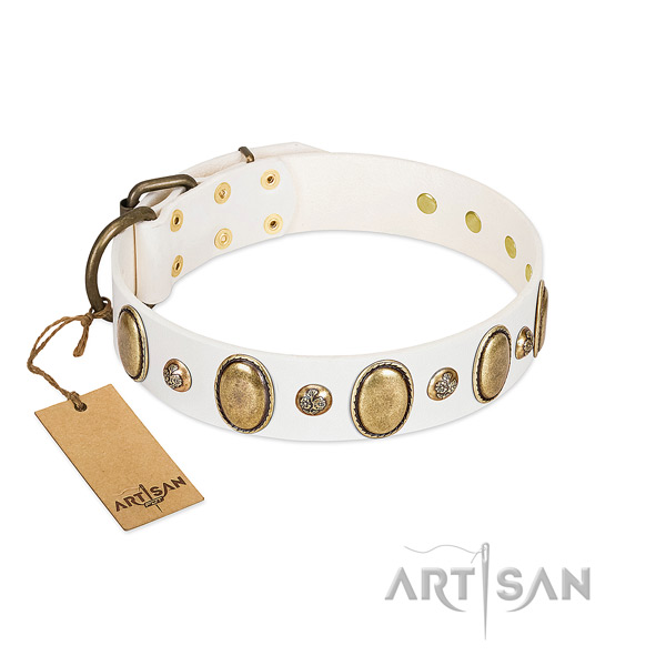 Full grain natural leather dog collar of soft material with awesome studs