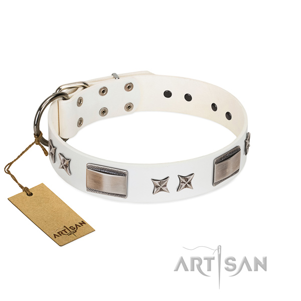 Unusual dog collar of full grain genuine leather