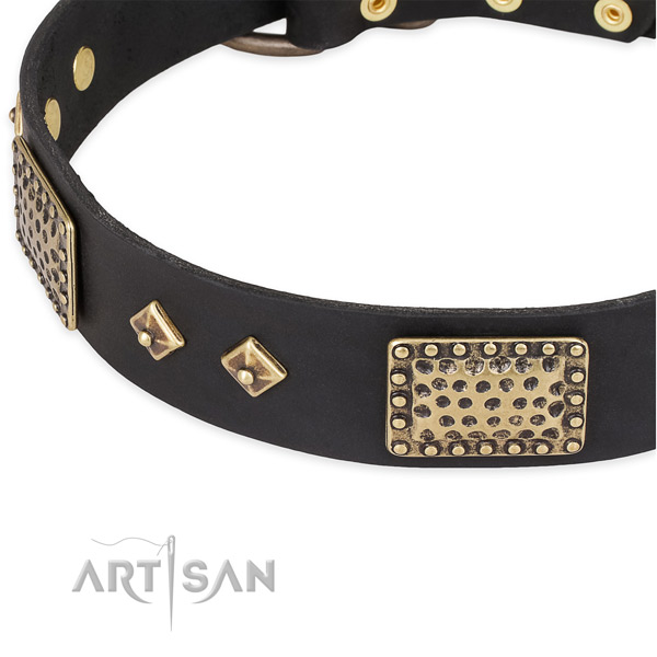 Reliable buckle on full grain leather dog collar for your pet