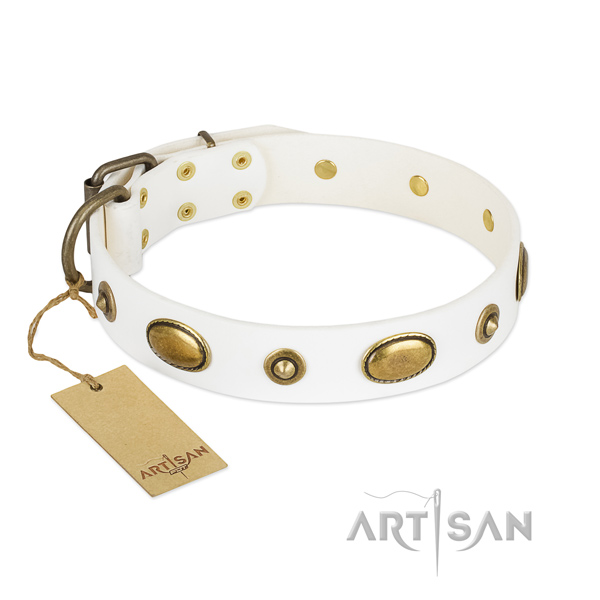 Remarkable genuine leather collar for your canine