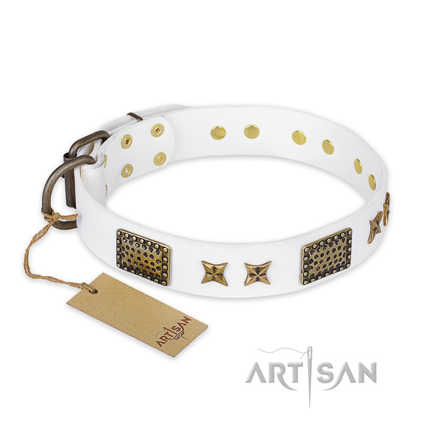 Unusual natural genuine leather dog collar with rust resistant hardware