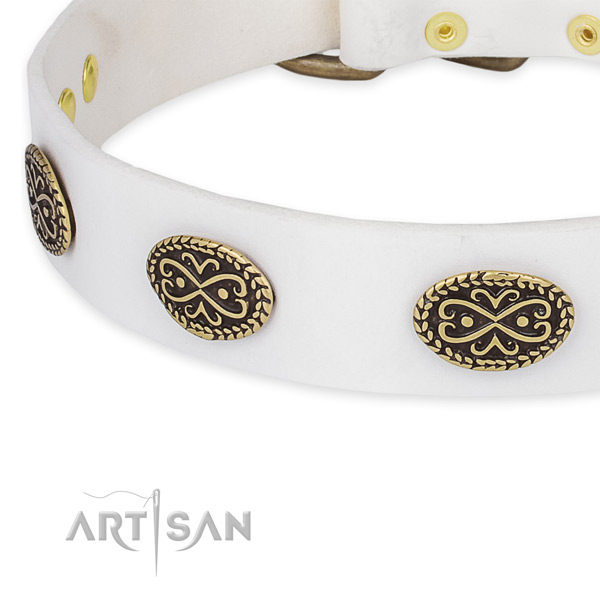 Exceptional genuine leather collar for your attractive doggie