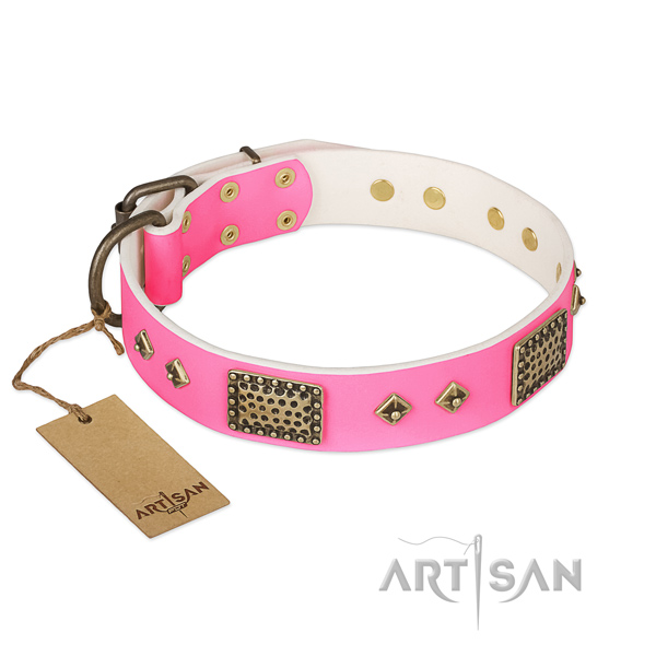 Easy to adjust full grain genuine leather dog collar for stylish walking your canine