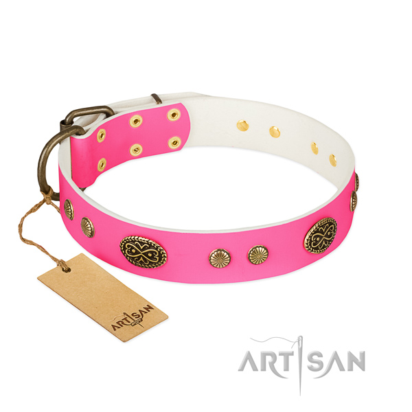 Durable decorations on full grain natural leather dog collar for your pet