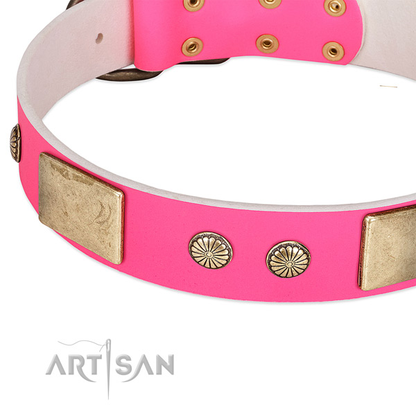 Rust-proof buckle on natural leather dog collar for your dog
