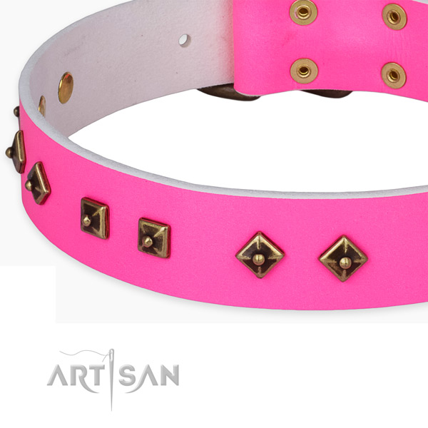 Fashionable natural leather collar for your lovely four-legged friend