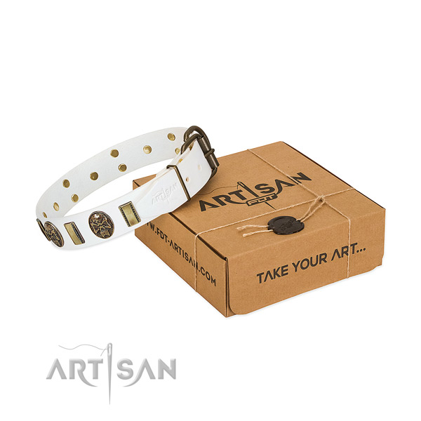 Reliable fittings on full grain genuine leather dog collar for daily walking