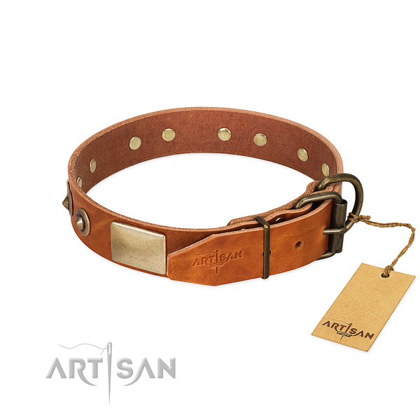Durable fittings on basic training dog collar