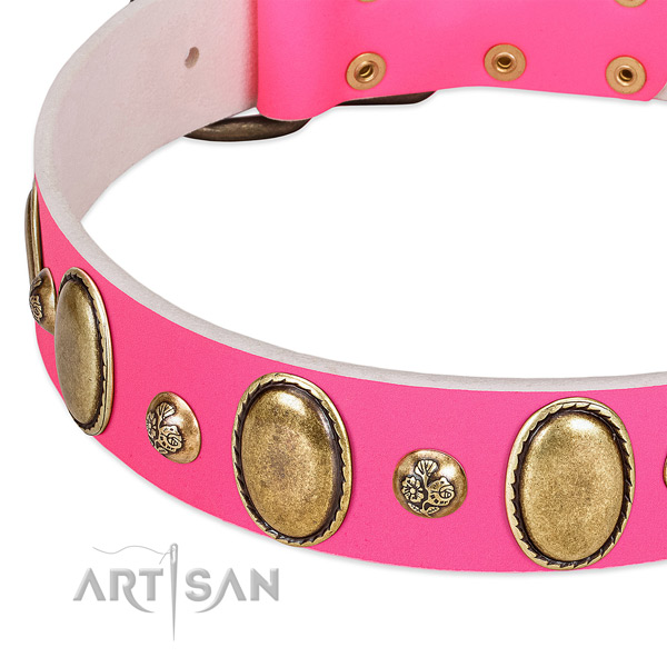 Fancy walking high quality full grain leather dog collar