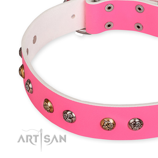 Full grain leather dog collar with amazing corrosion resistant studs