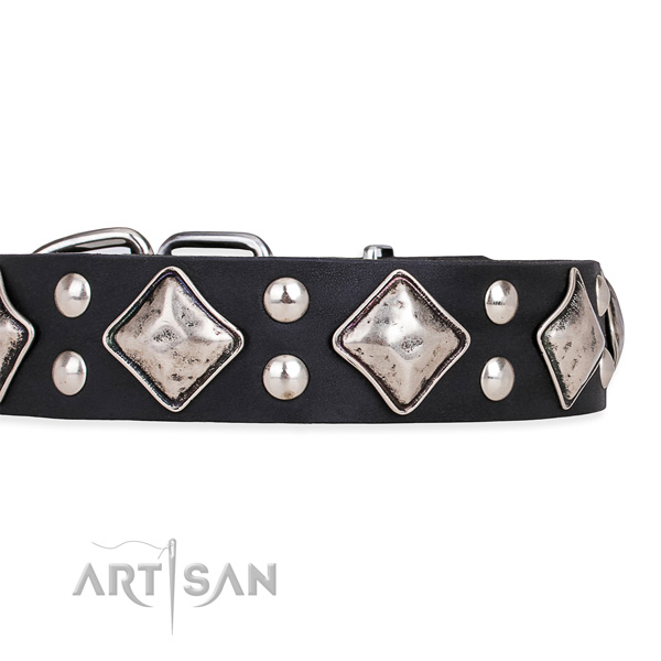 Full grain leather dog collar with amazing corrosion resistant studs
