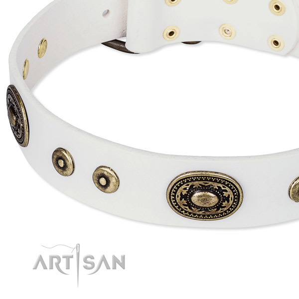 Full grain genuine leather dog collar made of reliable material with decorations