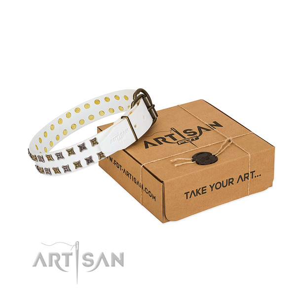 Full grain genuine leather collar with amazing embellishments for your doggie