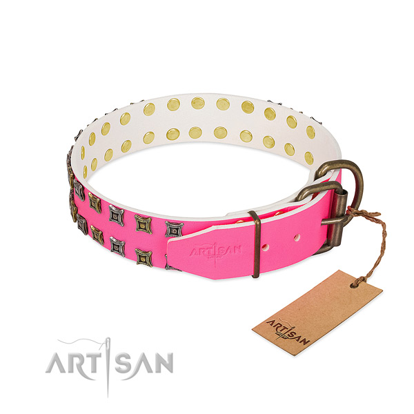 Genuine leather collar with impressive studs for your doggie