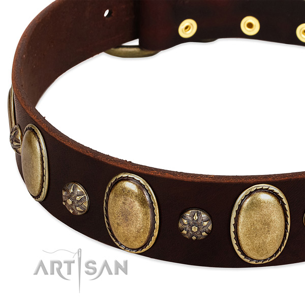 Stylish walking quality full grain leather dog collar