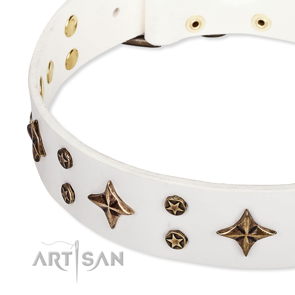 Stylish walking adorned dog collar of fine quality full grain natural leather