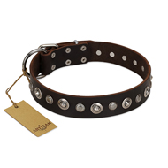 "Gorgeous Shields" FDT Artisan Brown Leather Swiss Mountain Dog Collar with Old Silver-like Circles and Small Camomiles